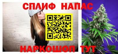 стафф Заволжье