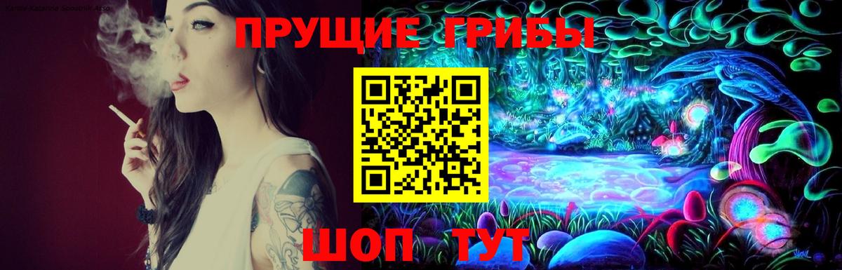 Минусинск  Галлюциногенные грибы Psilocybine cubensis  Вход с VPN 