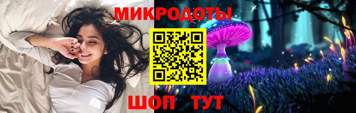 Псилоцибиновые грибы Cubensis Минусинск